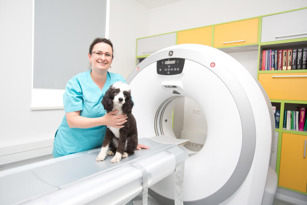 Veterinár