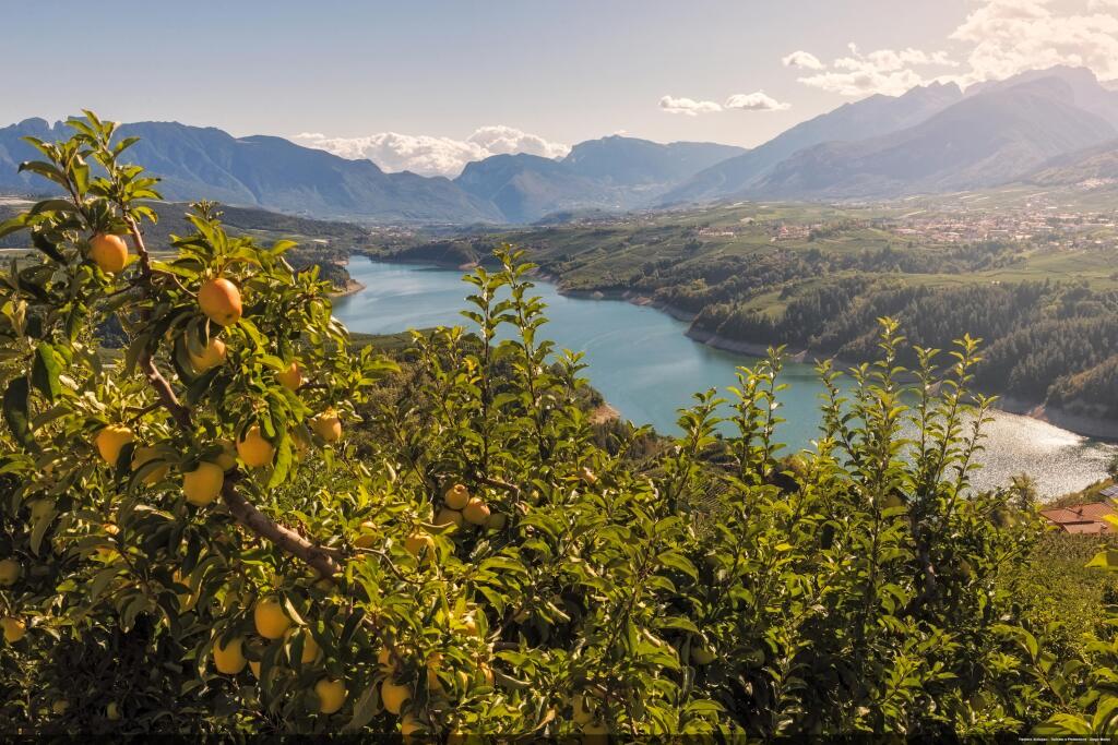 Jablčné sady nad jazerom Santa Giustina.