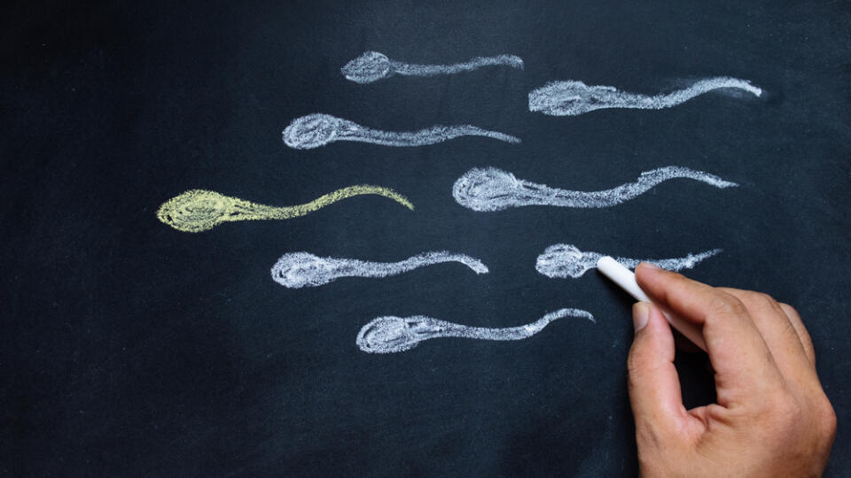 Hand,Drawing,Sperm,On,Blackboard