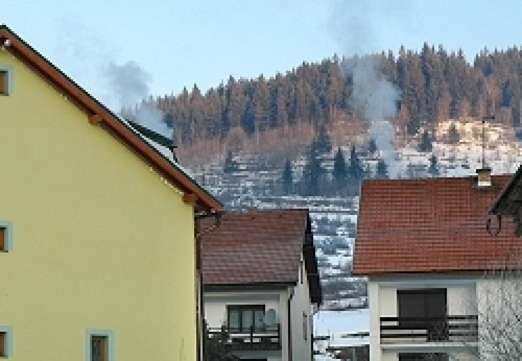 Drevo uspeje len s nižšími cenami