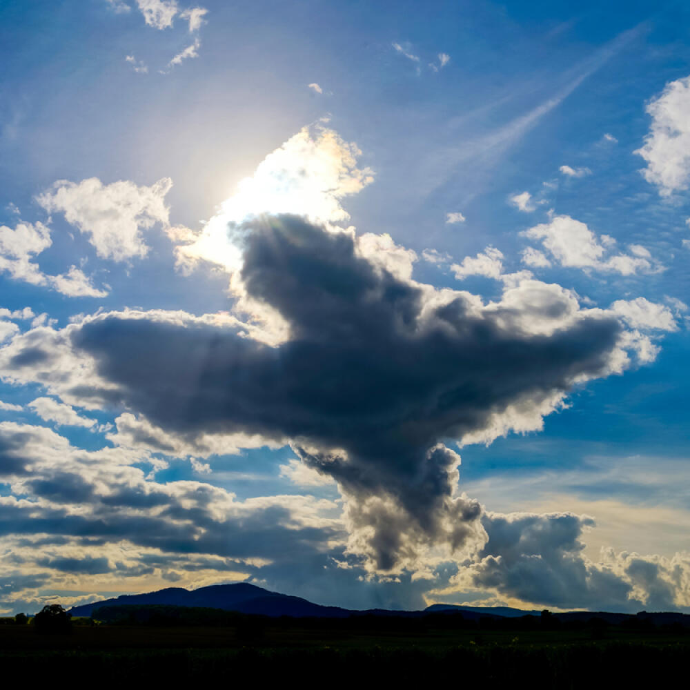 Big bird figure of clouds in the sky
