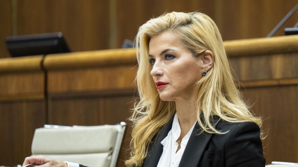 Audit ministerstva v SNG preukázal závažné pochybenia