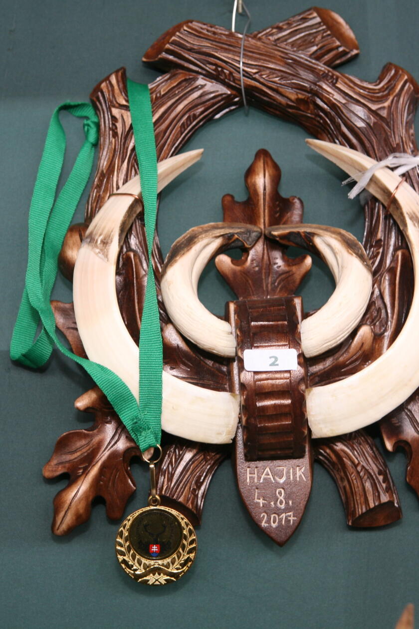 Medailová diviačia trofej