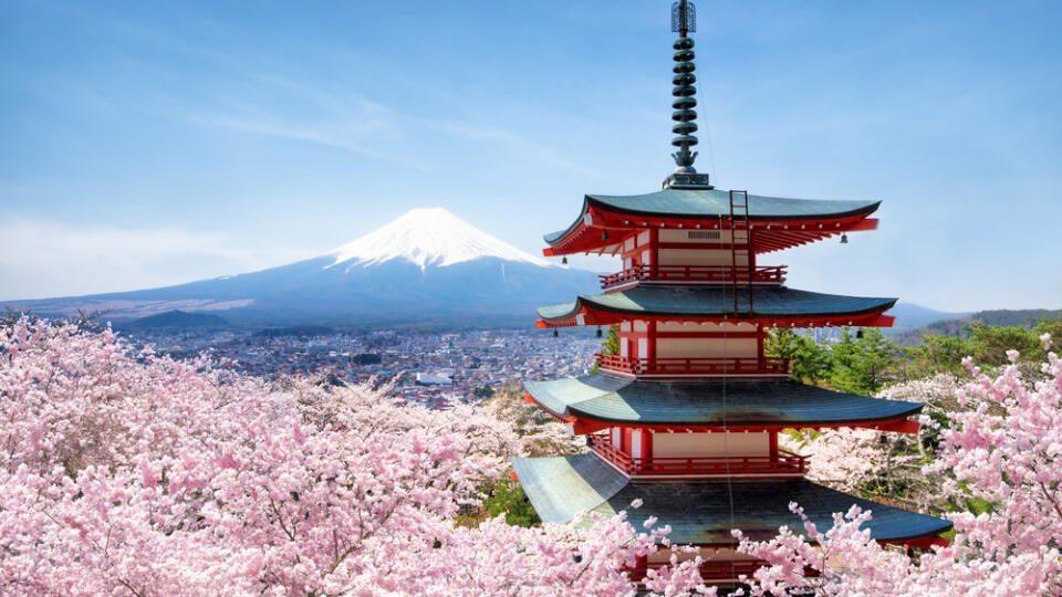 Chureito,Pagode,And,Mount,Fuji,With,Cherry,Blossom,Tree,During