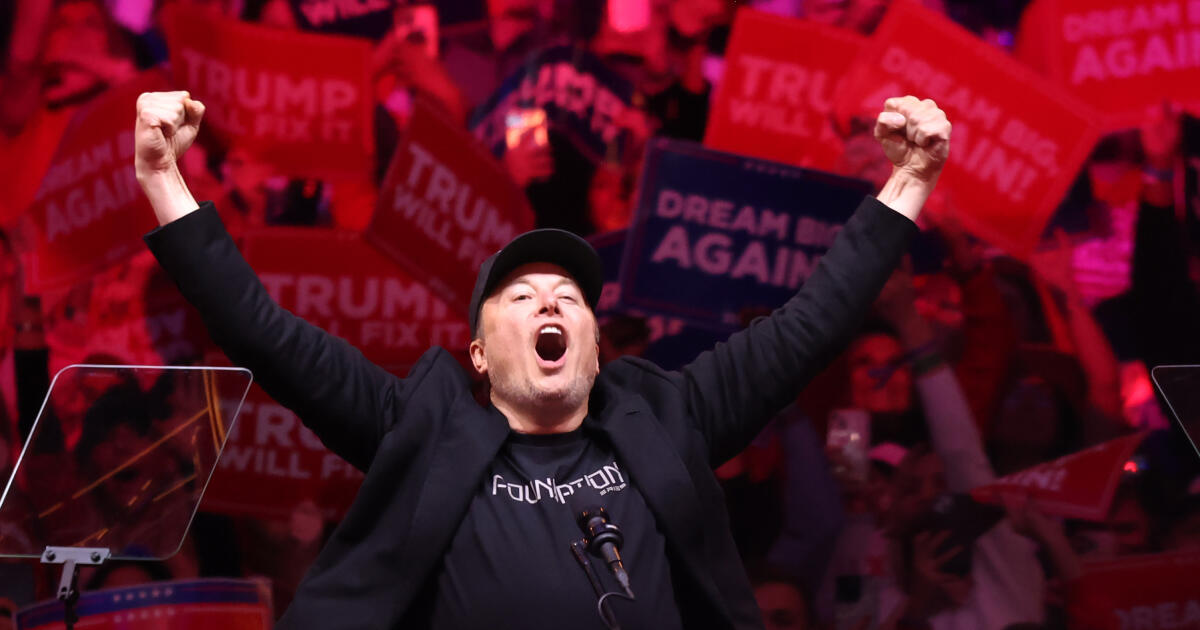 Without Elon Musk, consolidation is just a political dream Without Elon Musk, consolidation is just a political dream