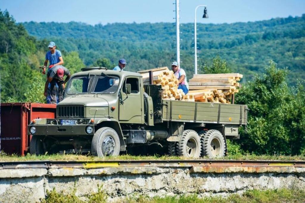 Ťažba dreva za pár eur. Ako sa rozhadzujú peniaze v štátnom lesníckom podniku