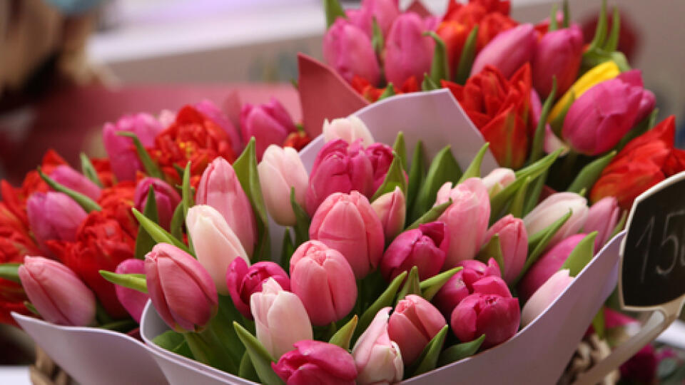 Tulip,,Tulips,Bouquet.,Present,For,March,8,,International,Women's,Day.