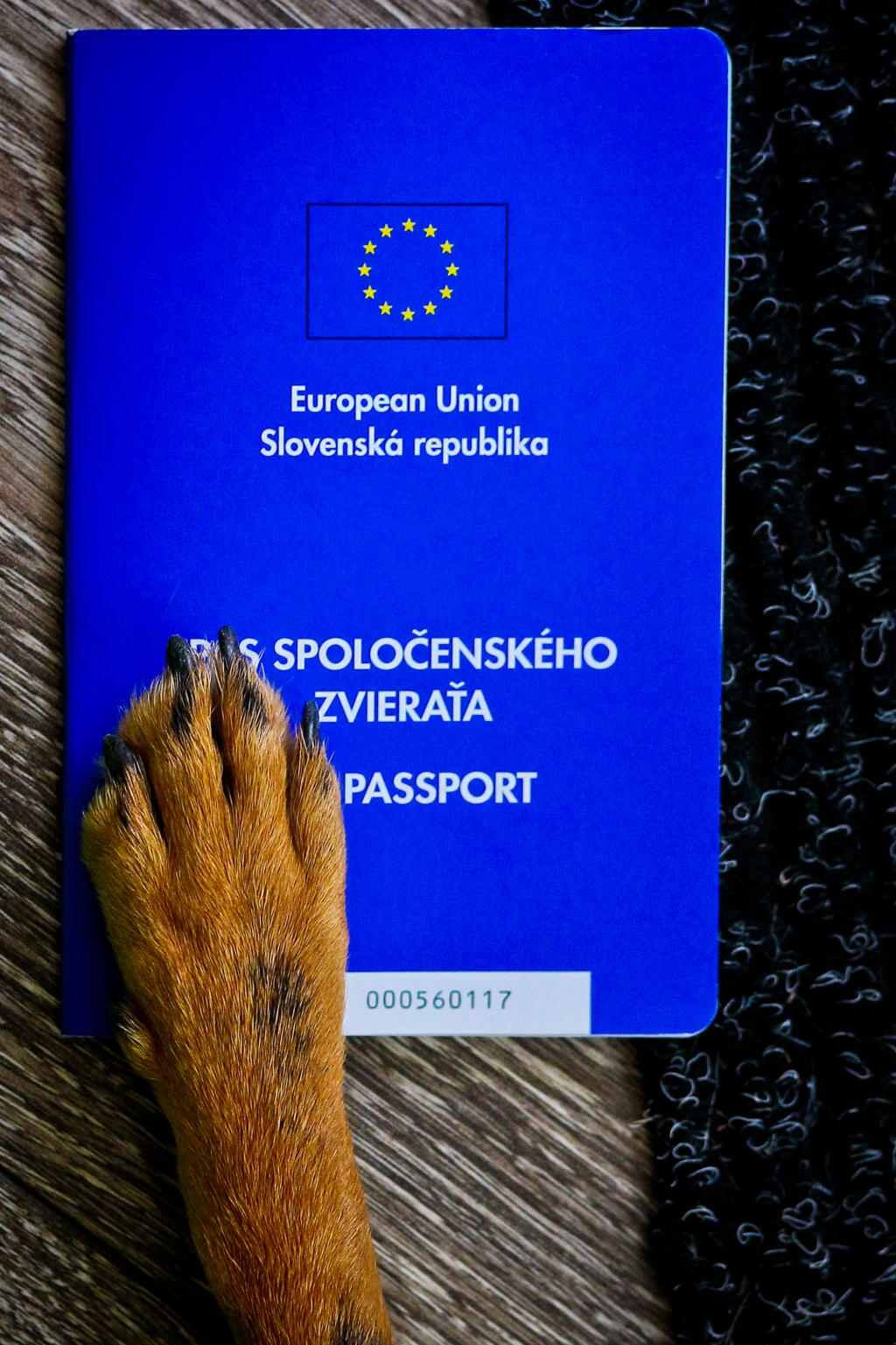 Na snimke Pas spolocenskeho zvierata, resp. Pet Passport, ktory sluzi ako cestovny doklad pre domace spolocenske zvierata, hlavne macky a psy.