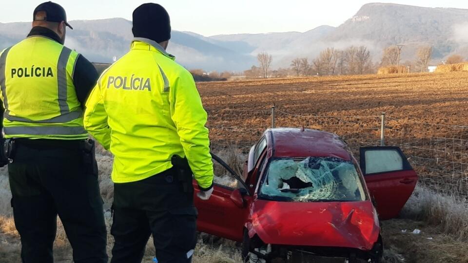 Podľa doposiaľ zistených informácií k nehode došlo tak, že 28-ročný vodič vozidla Toyota jazdiaci v smere od Zvolena na Budču dostal pravdepodobne šmyk.
