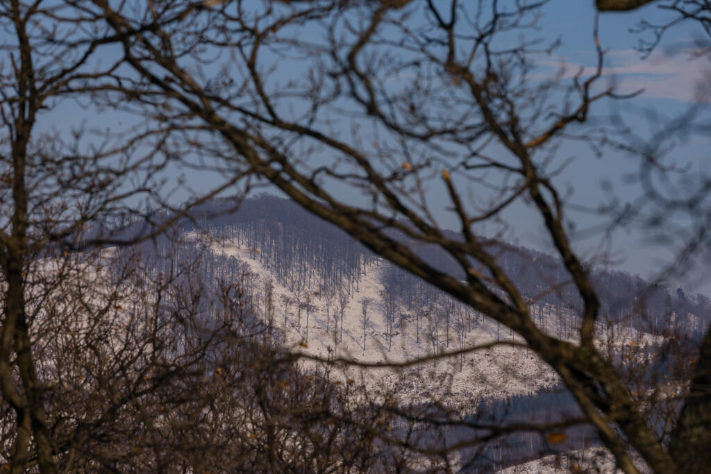 V pohorí Tribeč už roky dochádza k nevysvetliteľným zmiznutiam. V jeho hustom lese sa ľudia záhadne strácajú už 90 rokov. V oblasti sa našli aj ľudské telá, ktoré nikdy neidentifikoval, či opustené autá. Miesto navštevuje čoraz viac ľudí aj vďaka filmu Trhlina.