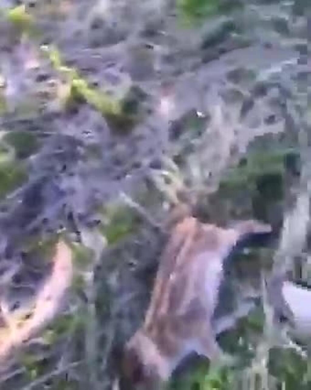 VIDEO Africký mor na Slovensku! Video pre tých čo neveria na AMO