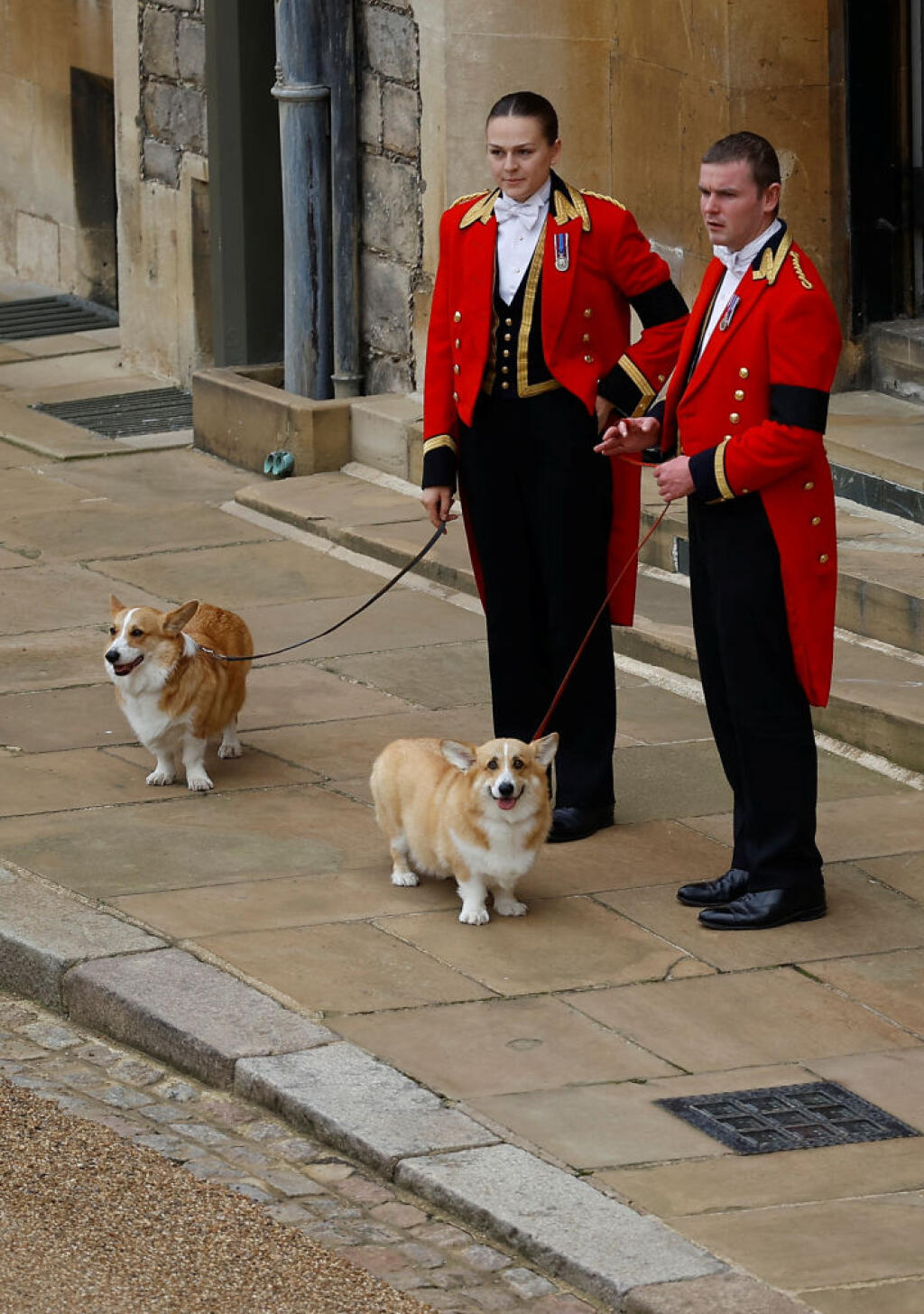 Na snímke psi plemena corgi Muick a Sandy čakajú na rakvu s pozostatkami zosnulej britskej kráľovnej Alžbety II. v pondelok 19. septembra 2022 na hrade Windsor. Muick a Sandy sú poslední psi z radu viac ako 30 corgiov, ktoré kráľovná za života vlastnila. Obrad rozžehnania sa s telom kráľovnej Alžbety II. sa uskutočnil vo windsorskej Kaplnke sv. Juraja. Tam panovníčku v rámci súkromného obradu aj pochovali po boku jej manžela princa Philipa.