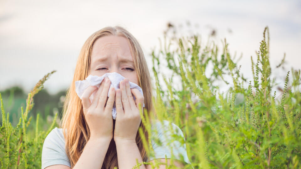 Sezónna peľová alergia je najrozšírenejšie alergické ochorenie.