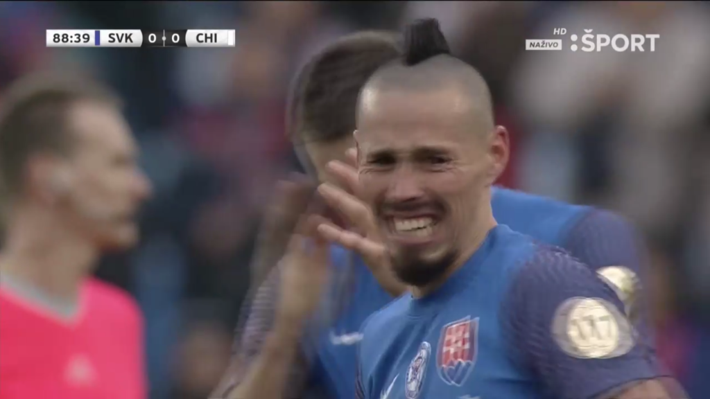 Hamšovi sa ťažko lúčilo s reprezentáciou.