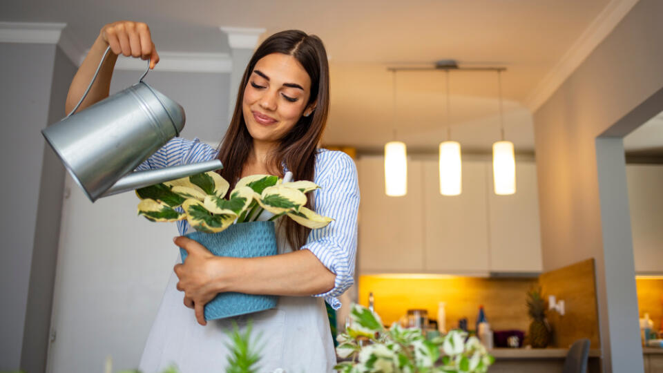 Smiling,Young,Caucasian,Woman,Hold,Pot,Watering,Green,Plants,In