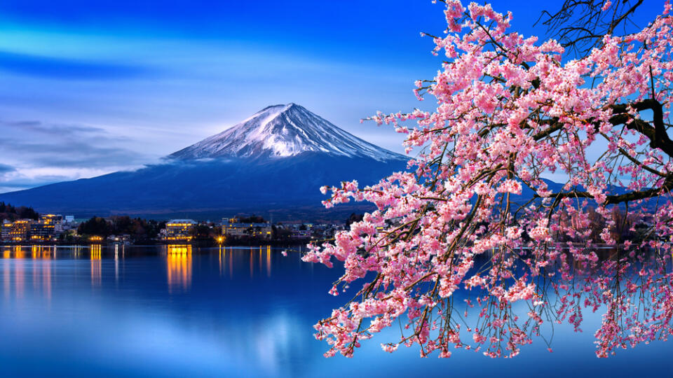 Fuji,Mountain,And,Cherry,Blossoms,In,Spring,,Japan.