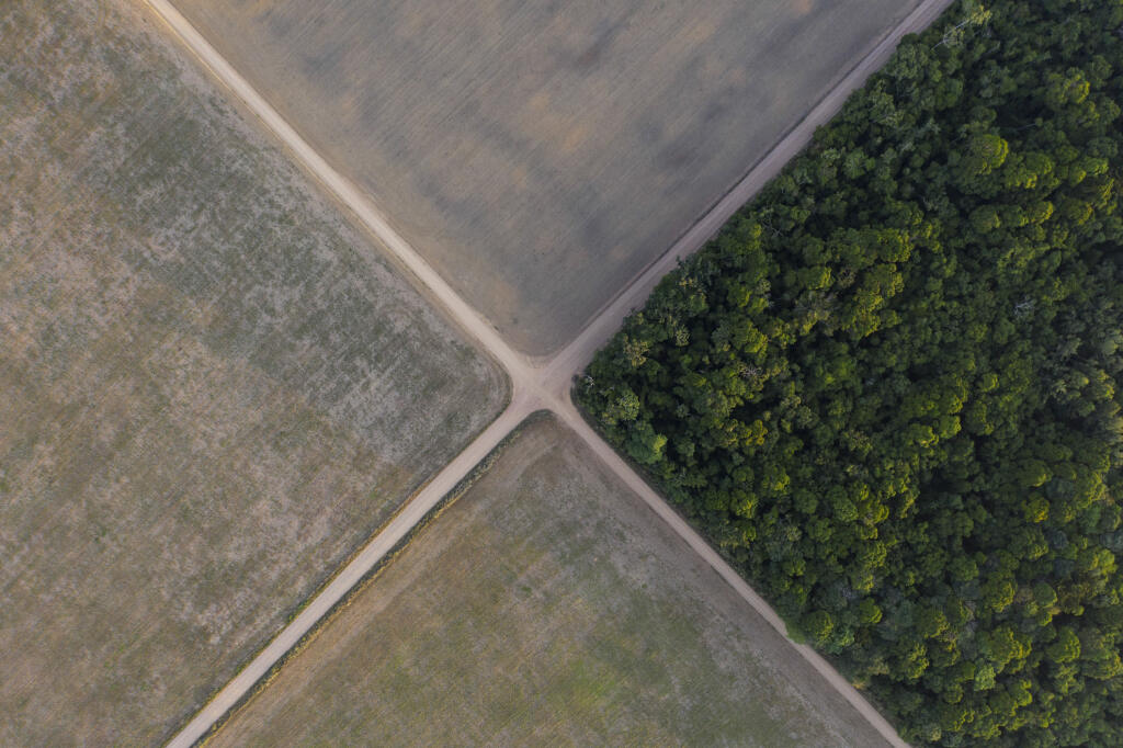 WA 19 archív Belterra - Na archívnej snímke z 30. novembra 2019 časť brazílskeho Amazonského pralesa sa nachádza vedľa sójových polí v Belterre, brazílskom štáte Pará. Brazílsky Amazonský prales zaznamenal vo výskyte lesných požiarov najhorší jún od roku 2007, ukázali vo štvrtok 1. júla 2021 údaje brazílskych vedcov. Naznačuje to ďalšie ničivé obdobie sucha v najväčšom dažďovom pralese na svete. Informovala o tom tlačová agentúra AFP. Národný ústav pre vesmírny výskumu (INPE) uviedol, že jeho sa