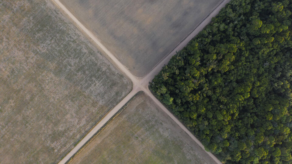 WA 19 archív Belterra - Na archívnej snímke z 30. novembra 2019 časť brazílskeho Amazonského pralesa sa nachádza vedľa sójových polí v Belterre, brazílskom štáte Pará. Brazílsky Amazonský prales zaznamenal vo výskyte lesných požiarov najhorší jún od roku 2007, ukázali vo štvrtok 1. júla 2021 údaje brazílskych vedcov. Naznačuje to ďalšie ničivé obdobie sucha v najväčšom dažďovom pralese na svete. Informovala o tom tlačová agentúra AFP. Národný ústav pre vesmírny výskumu (INPE) uviedol, že jeho sa