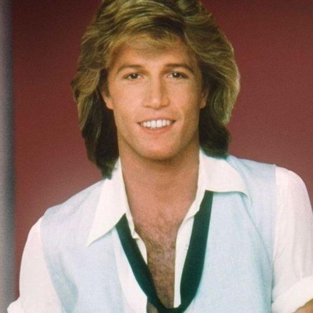 Andy Gibb