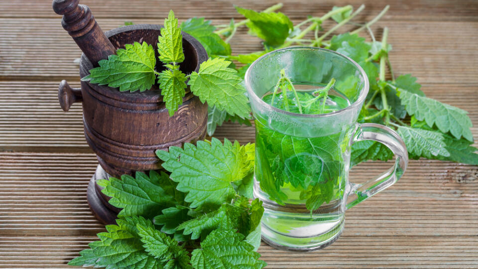 Žihľava: Možno vás nezbaví potenia, ale vďaka nej bude viac voňať. Výborne detoxikuje, prečisťuje a regeneruje.