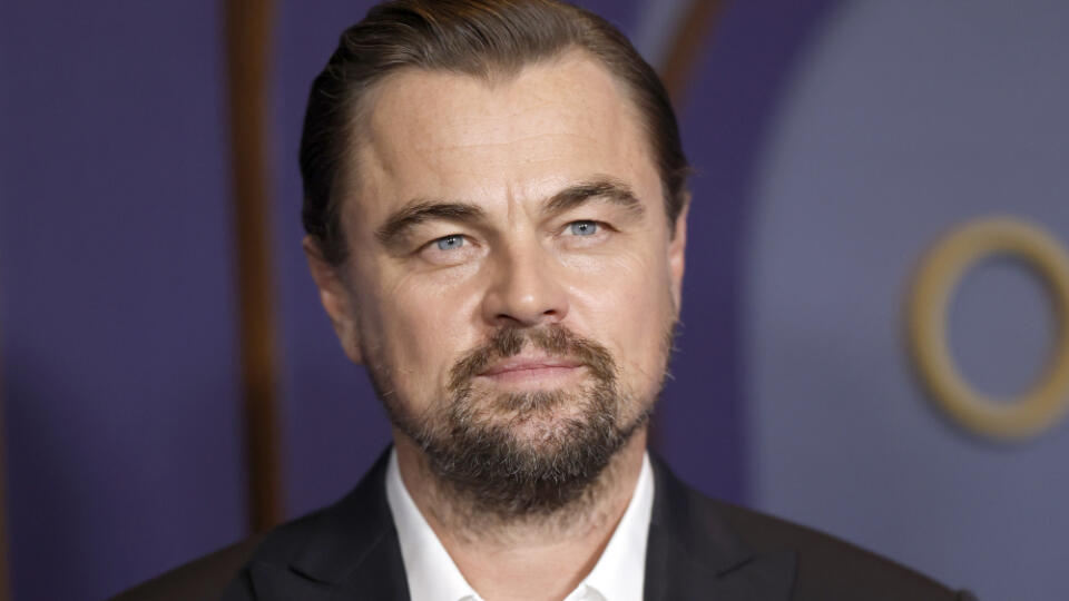 Leonardo DiCaprio.