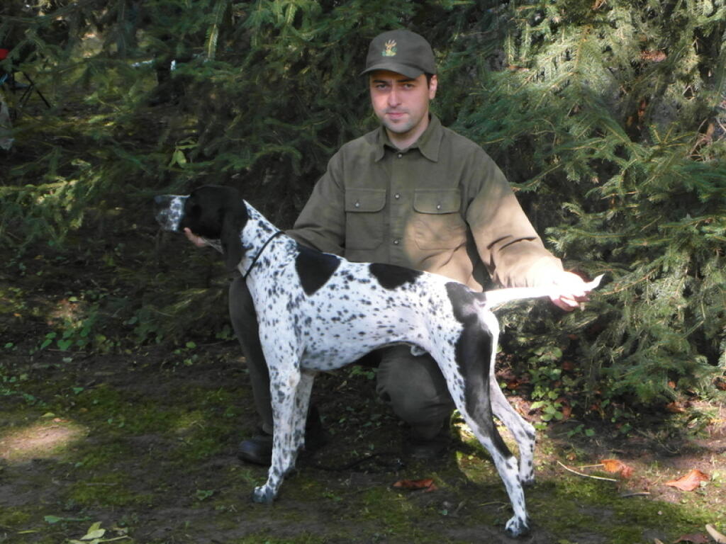 ANGLICKÝ POINTER: Zolo z Mučína priviedol šampióna krásy Slovenska Jaspera Gigi Scandyka.