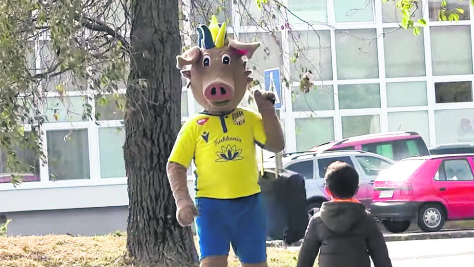Na naše pomery ide o netradičného maskota. Lenže, v Dunajskej Strede majú iný názor.