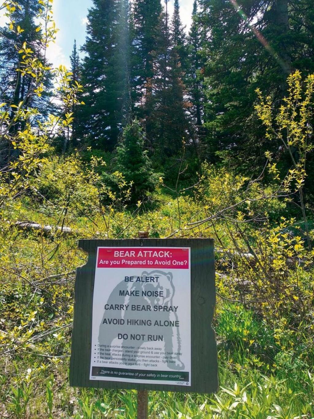 Yellowstone: Čo čakať od krajiny dymiacej zeme, kde by naši lesníci iba žasli