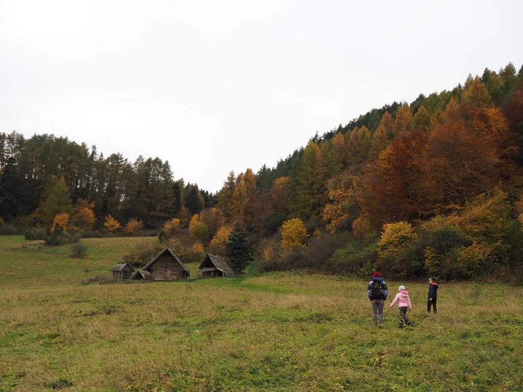 Havránok
