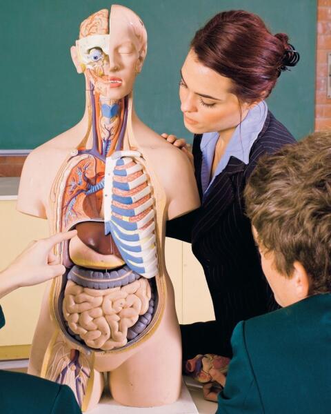 Anatomický KVÍZ preverí vaše vedomosti o ľudskom tele