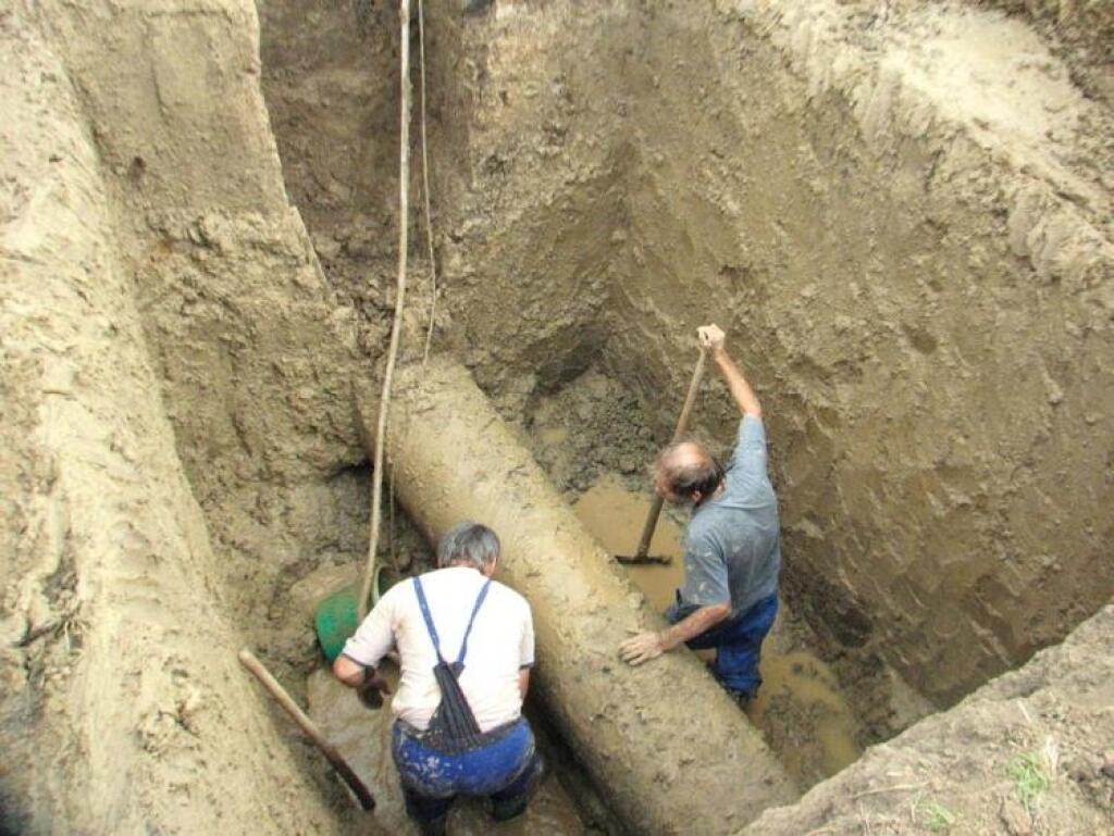Poslanec, starosta, podnikateľ