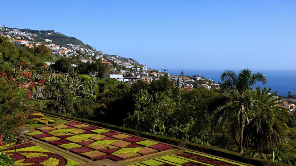 Botanická záhrada Jardim Botanico leží nad metropolou v Monte.