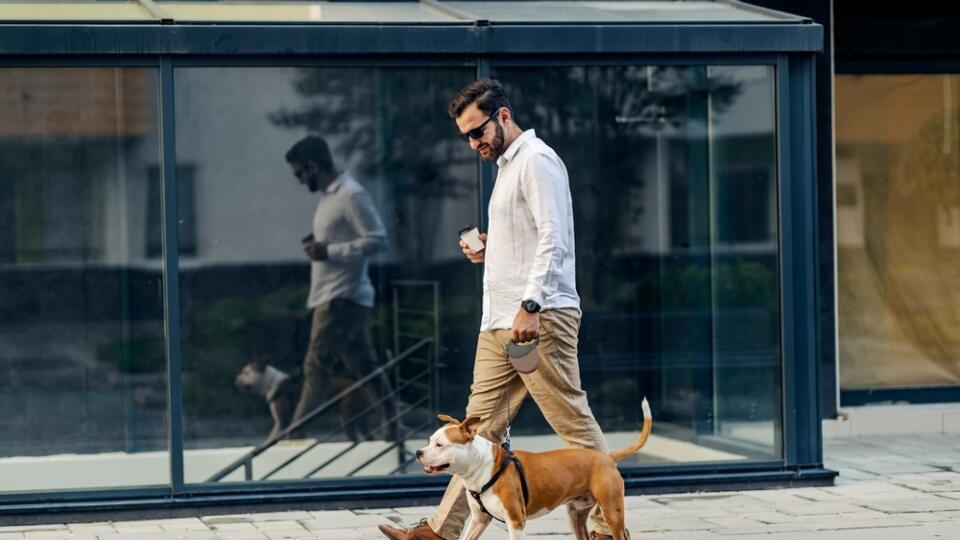 A,Businessman,With,Sunglasses,Dressed,Smart,Casual,Is,Holding,Coffee