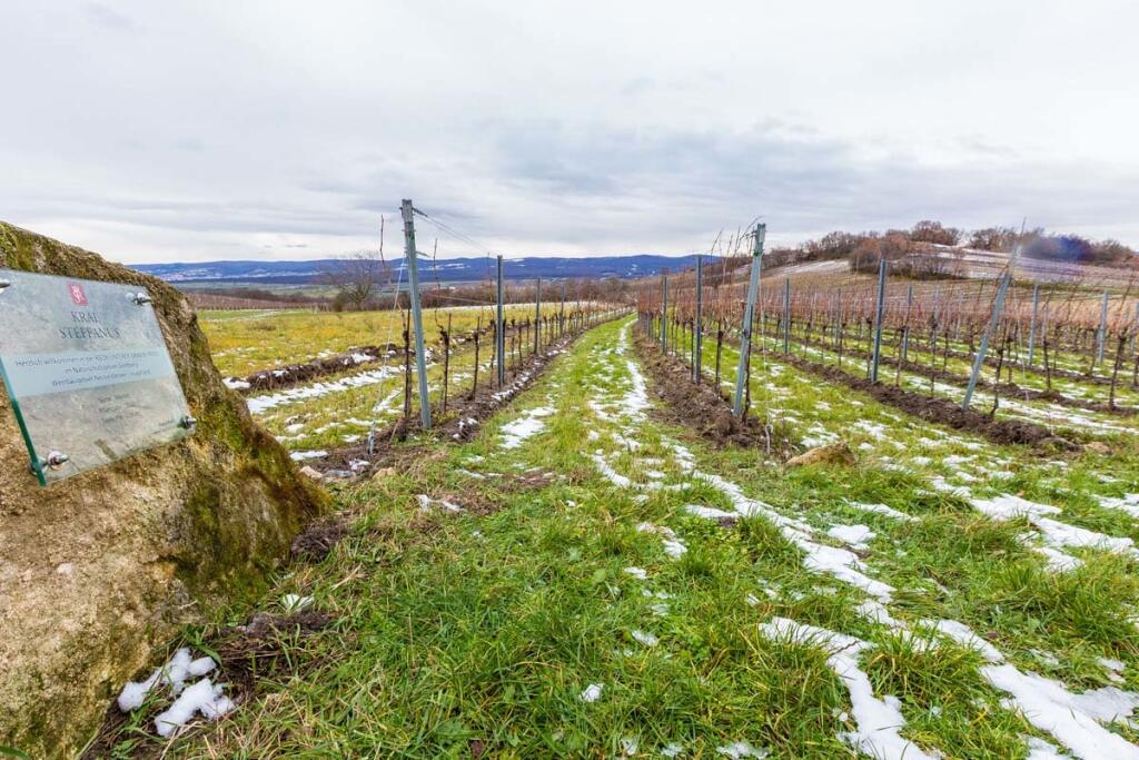 Vinárstvo Kral Steffanus