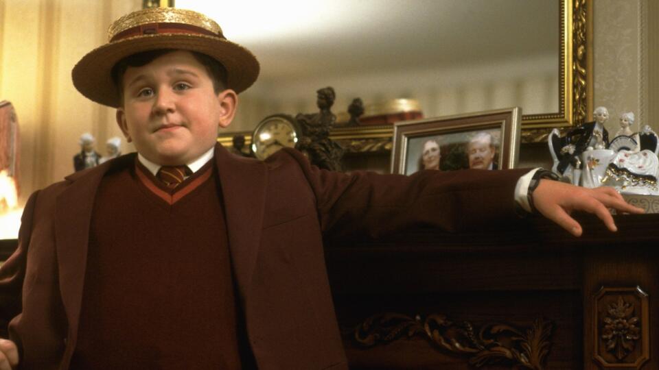 Harry Melling ako bratranec Dudley