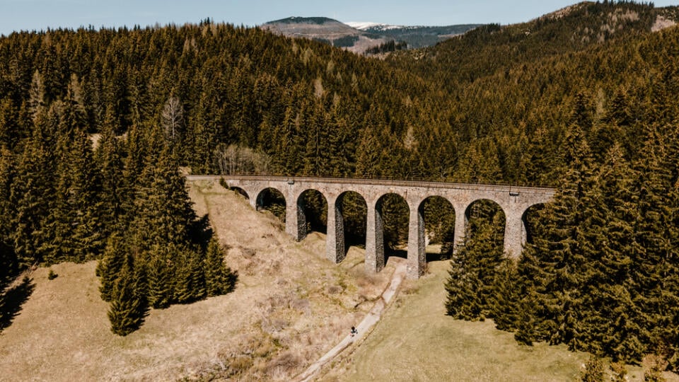 Historic,Railway,Viaduct,Situated,In,The,Forest,Near,Telgart,In