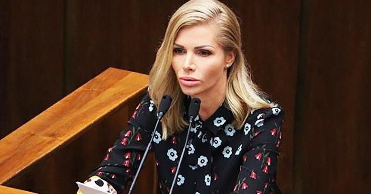 Krištúfková horšia ako Danko: Natrafil som na jej bakalárku – brutálny plagiát, tvrdí Beblavý