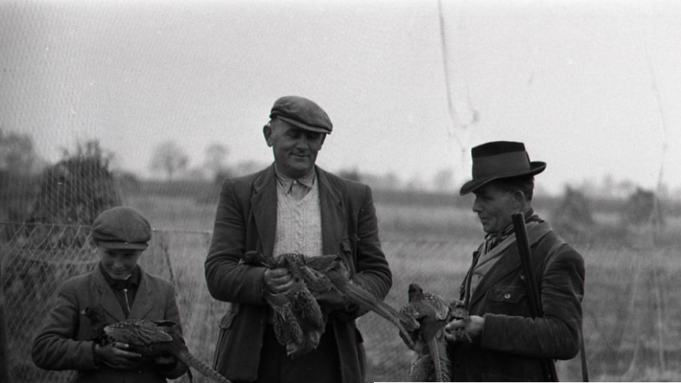 Členovia odchytovej skupiny Ľudovíta Sagana mali aj po tomto odchyte pekný úlovok. Foto: archív TASR, autor K. Cích/ 23. novembra 1955