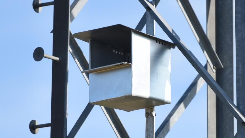 Inštalácia búdok pre sokoly myšiare na elektrických stožiaroch v Siladiciach