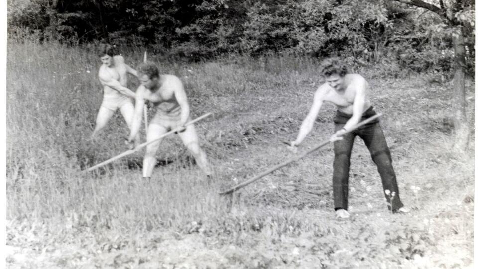 "Na fotografii je môj otec so svojimi bratmi pri kosení trávy."