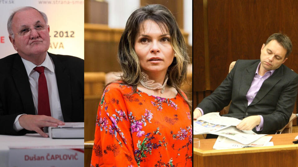 V práci veľakrát rekordy nelámu, zato nás bavia svojimi výrokmi či mimikou. Aj rok 2013 priniesol veľa zábavy aj v politike.