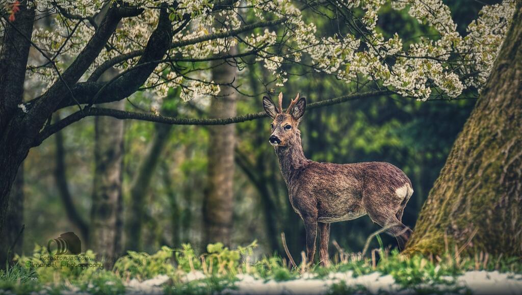 Ilustračná fotografia