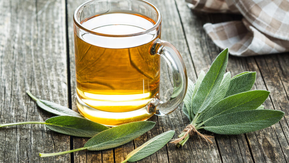 Sage,Tea,And,Sage,Leaves.,Infusion,Made,From,Sage,Leaves.