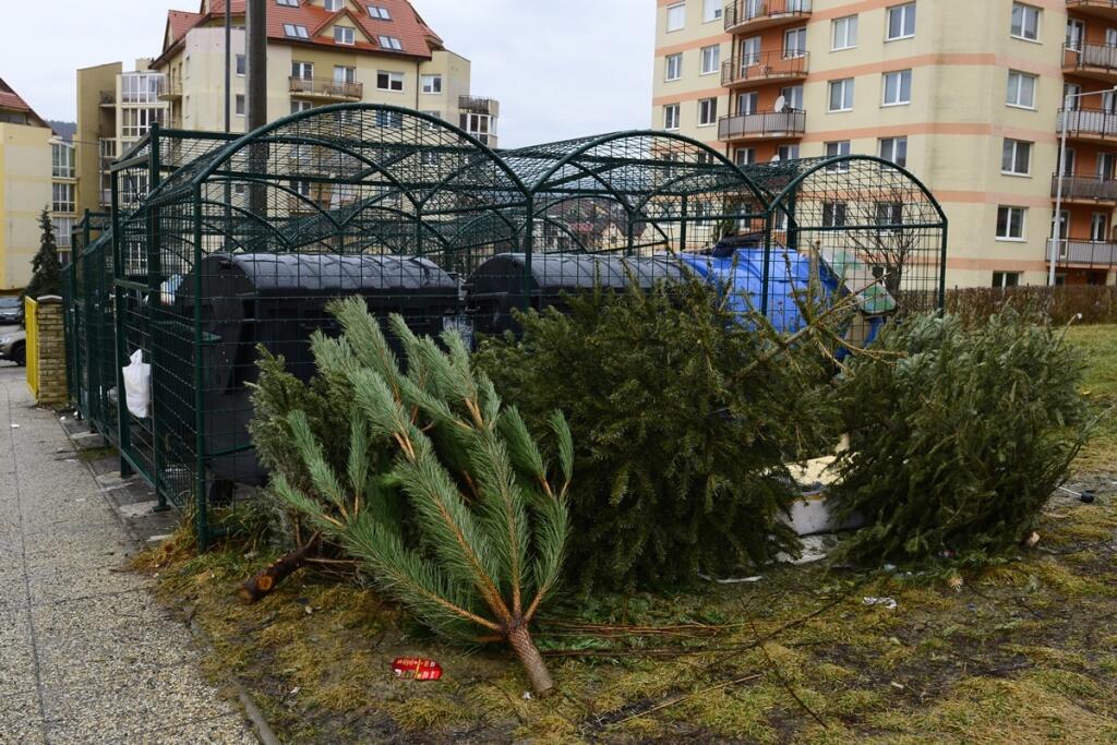 Vianočné stromčeky po sviatkoch