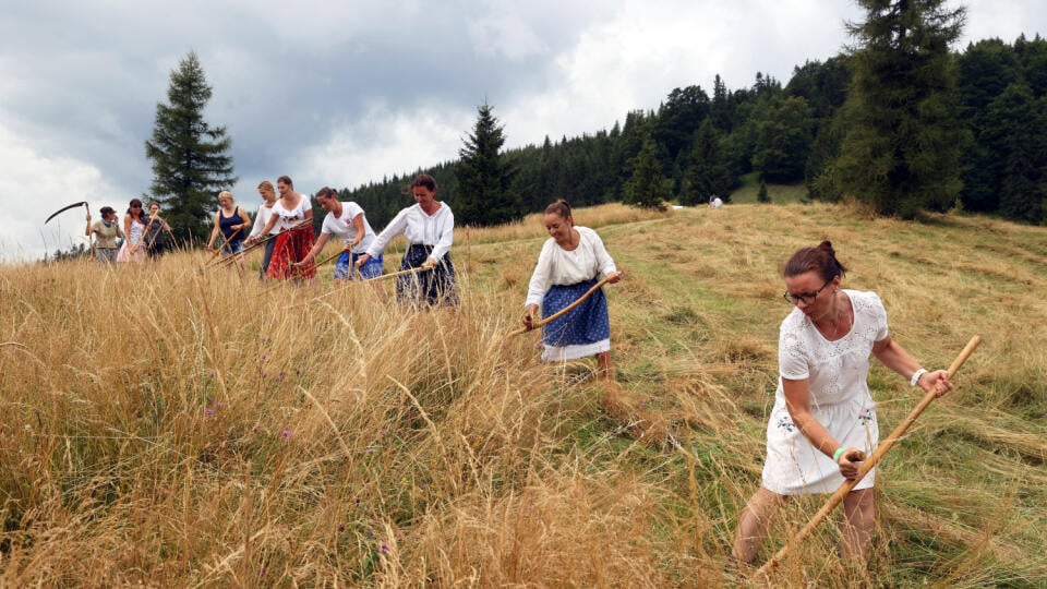 V bežnom živote sú aj manažérky, sedia v kancelárii, do Slovenského raja prišli ručne kosiť lúky.