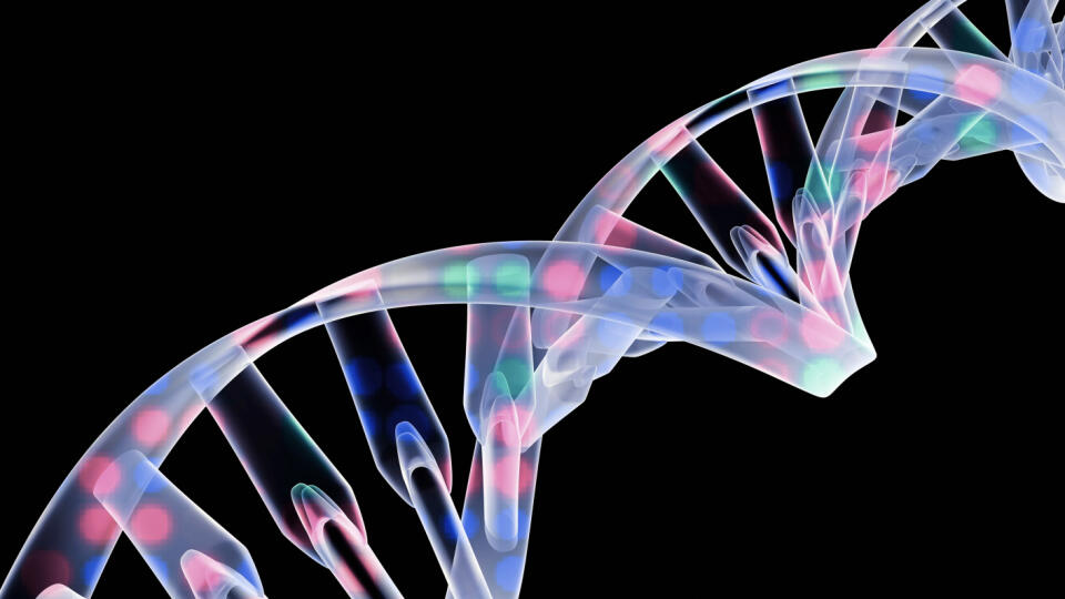 Gene switching, computer artwork. Coloured dots on a DNA helix, representing the process of switching specific genes on or off. DNA contains sections, called genes, which determine each cell's structure, function and behaviour. How often a gene is expressed (produces functional proteins) is regulated by proteins that bind to the DNA in order to activate (switch on) or repress (switch off) the gene. Some gene therapies take advantage of this by switching certain genes on or off in order to treat