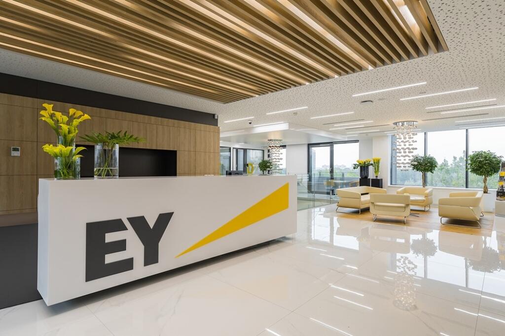 Ernst young бизнес план