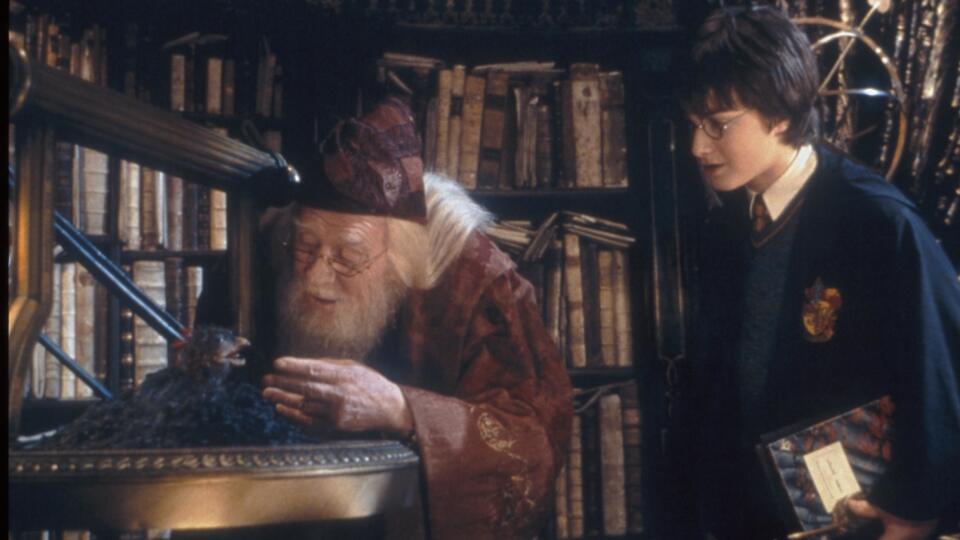 Harry Potter and the Chamber of Secrets