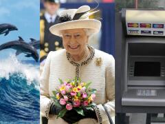 10 vecí, ktoré mohla spraviť britská kráľovná, no bežný smrteľník nie: Číslo 3 vás ŠOKUJE!