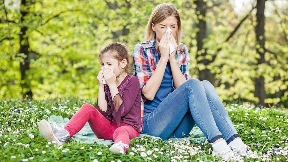  Viete, že 40 % Slovákov trápi nejaká alergia? Počet alergikov pritom každý rok narastá.